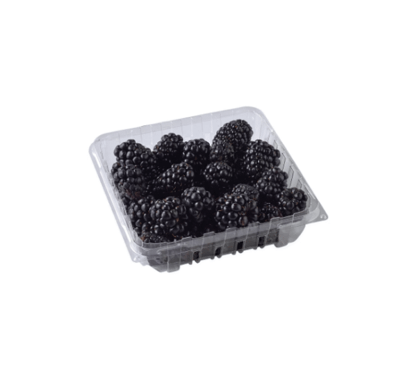 Organic Blueberries Package - Image 7