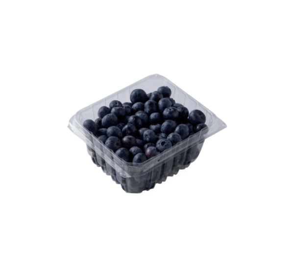 Organic Blueberries Package - Image 2