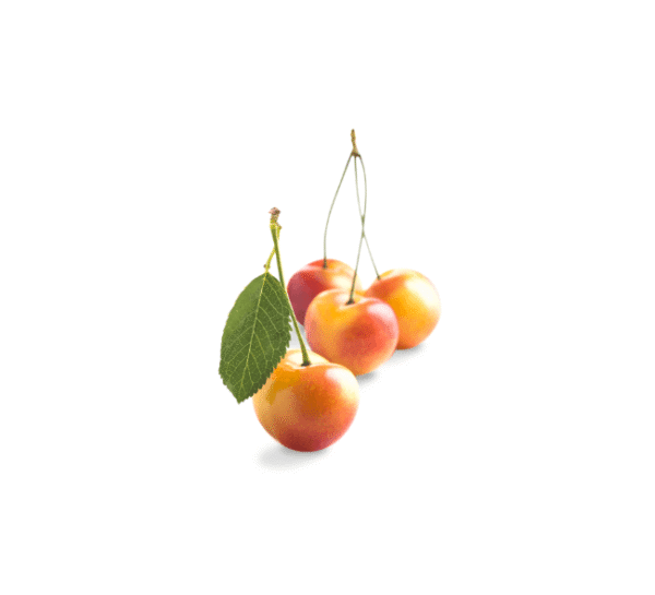 Rainier Cherries - Image 6