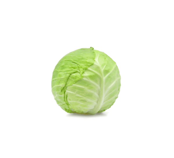 Organic Green Cabbage